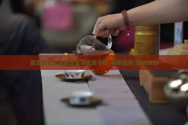 普洱茶怎么知道是生茶还是干茶