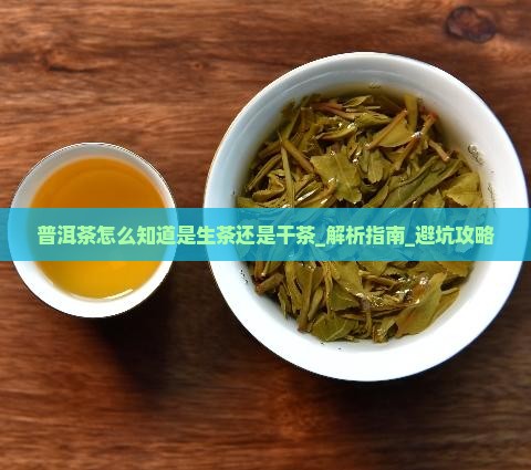 普洱茶怎么知道是生茶还是干茶