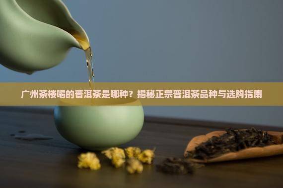 广州茶楼喝的普洱茶是哪种