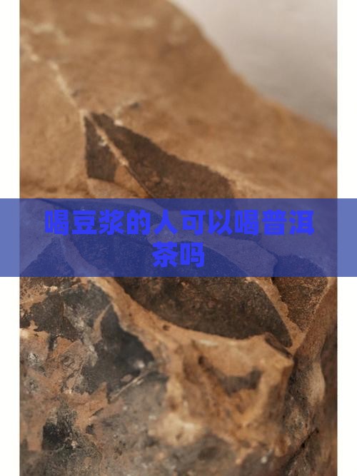 喝豆浆的人能喝普洱茶吗