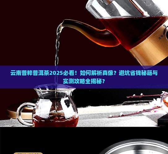 云南普粹普洱茶