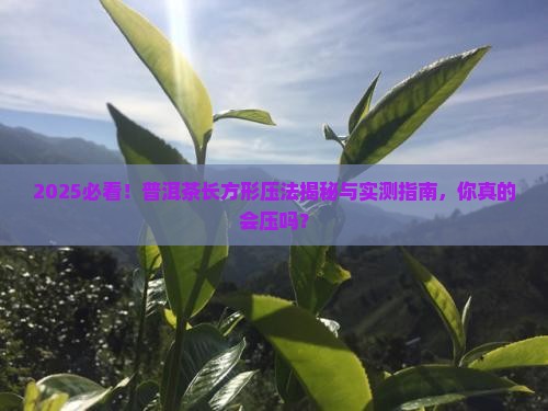 普洱茶怎么压成长方形形状