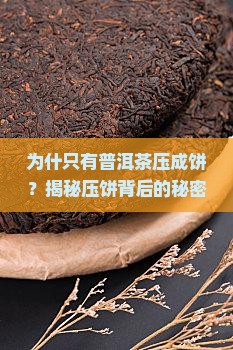 为什只有普洱茶压成饼