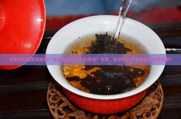 早孕可以喝普洱茶吗