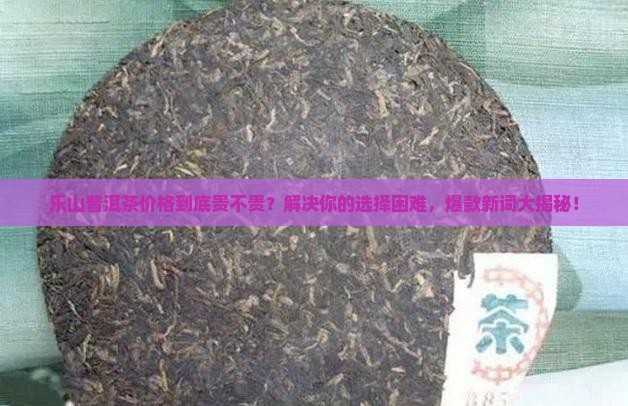 乐山普洱茶价格