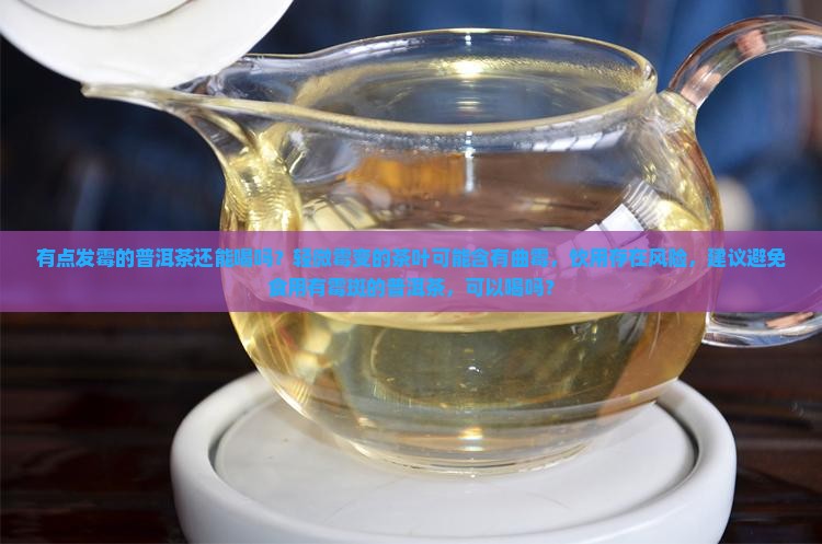 有点发霉的普洱茶能喝吗