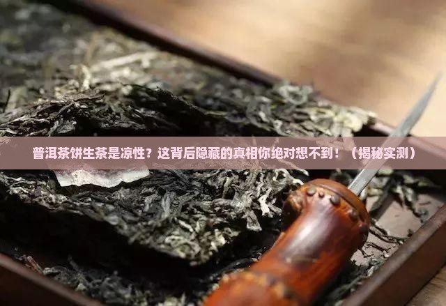 普洱茶饼茶生茶是凉性
