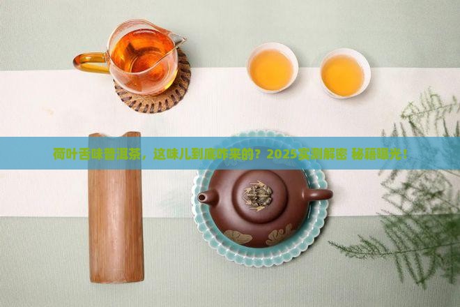 荷叶舌味普洱茶怎么来的