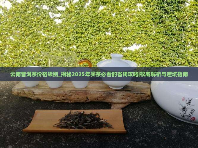 云南普洱茶价格级别