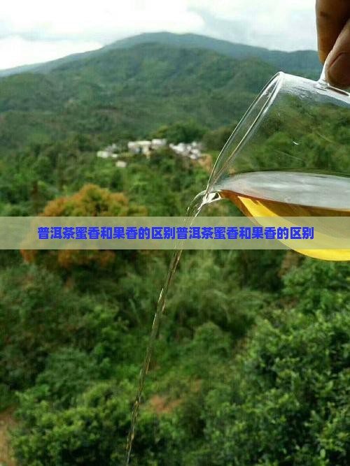 普洱茶蜜香和果香的区别