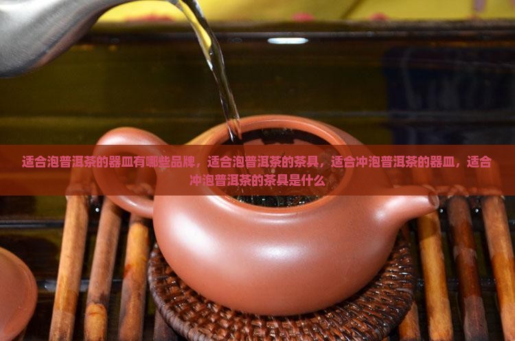 适合泡普洱茶的器皿有哪些