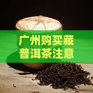 广州购买藏普洱茶注意事项