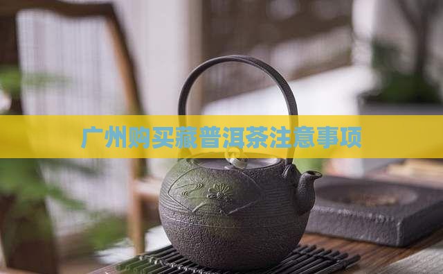 广州购买藏普洱茶注意事项