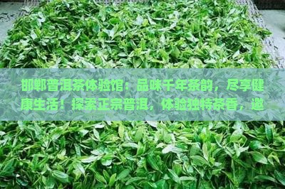 邯郸普洱茶体验馆