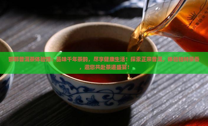 邯郸普洱茶体验馆