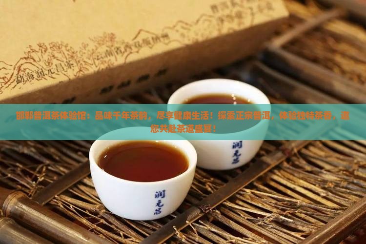 邯郸普洱茶体验馆