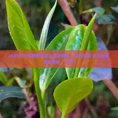 四川富硒普洱茶价格表