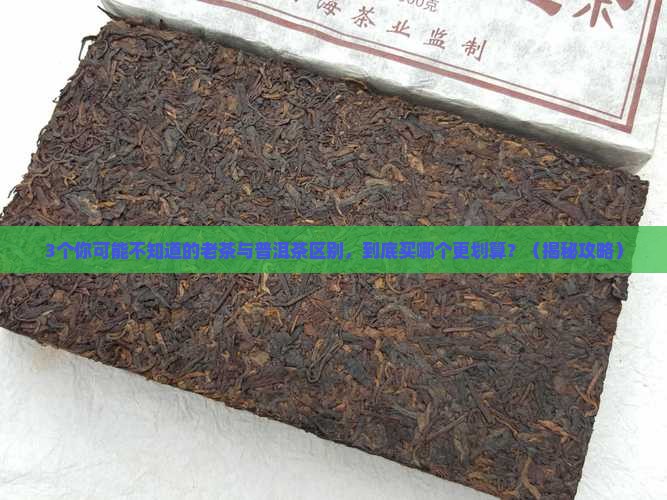 老茶与普洱茶的区别