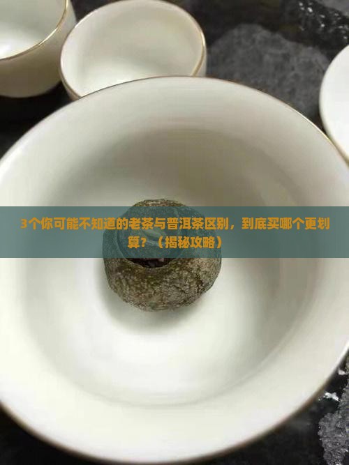 老茶与普洱茶的区别