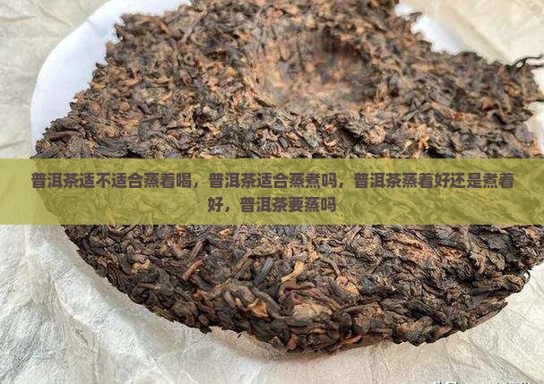 普洱茶适不适合蒸着喝