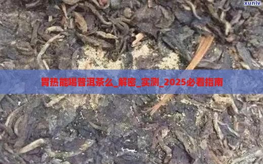 胃热能喝普洱茶么