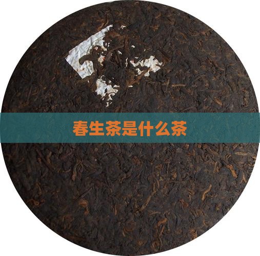 春生茶是什么茶 春生茶是什么茶