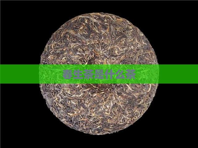 春生茶是什么茶 春生茶是什么茶