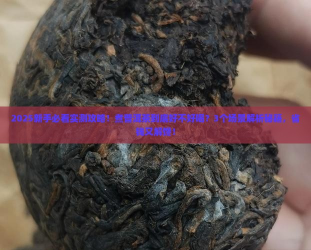 普洱茶煮了好喝吗