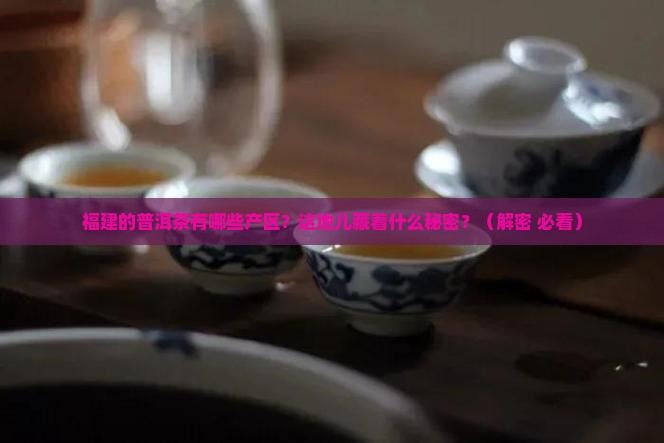 福建的普洱茶有哪些产区