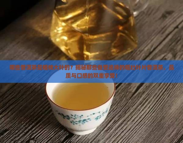 哪些普洱茶是粗枝大叶的