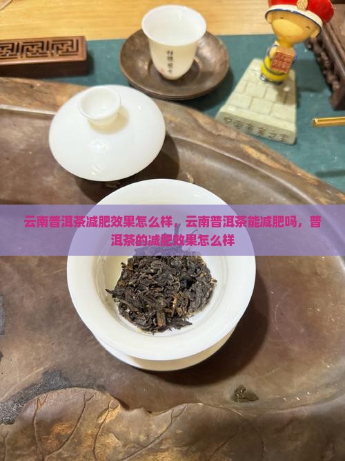 云南普洱茶减肥效果怎么样