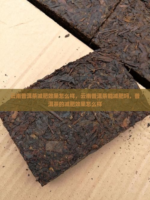 云南普洱茶减肥效果怎么样