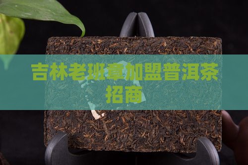 吉林可靠老班章招商