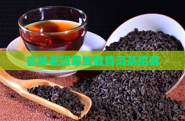 吉林可靠老班章招商