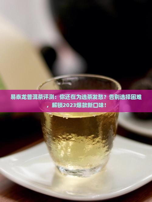 易泰龙普洱茶评测