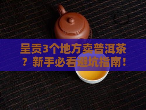 呈贡哪里有卖普洱茶