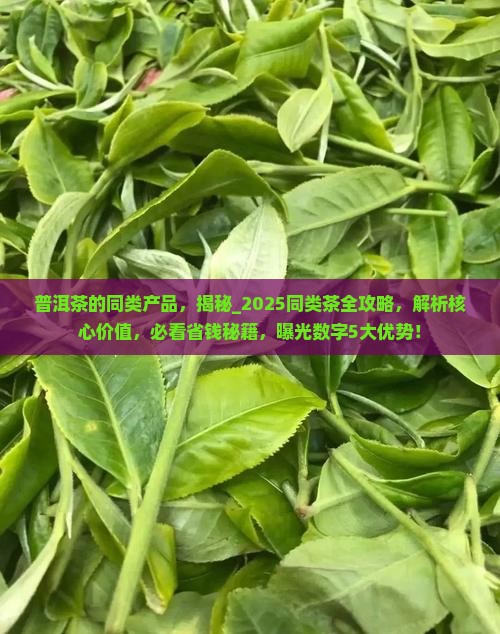 普洱茶的同类产品