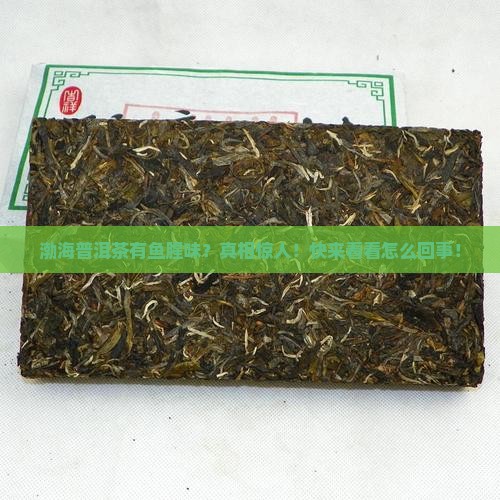 渤海普洱茶有鱼腥味