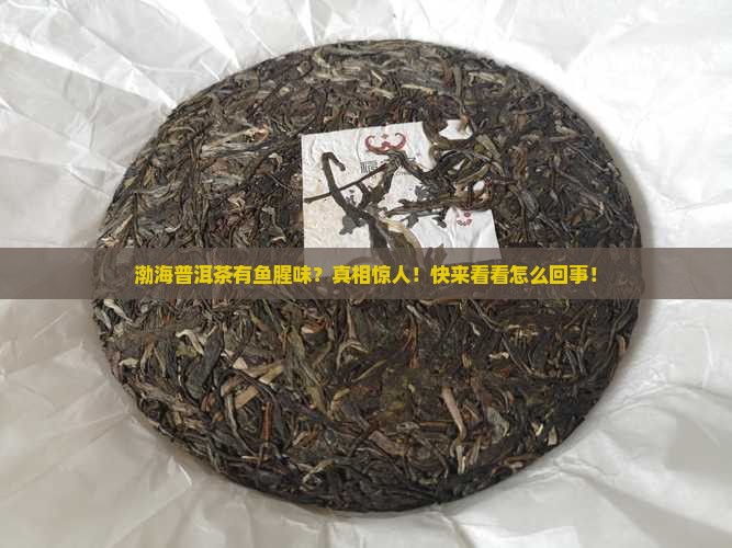 渤海普洱茶有鱼腥味