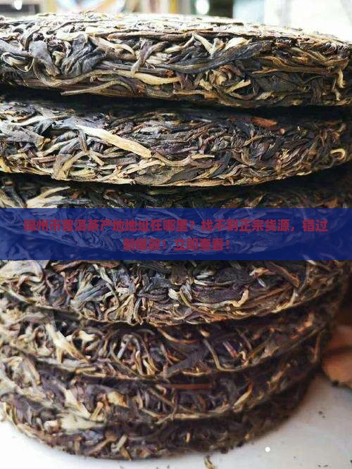 锦州市普洱茶产地地址