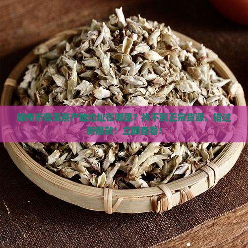 锦州市普洱茶产地地址