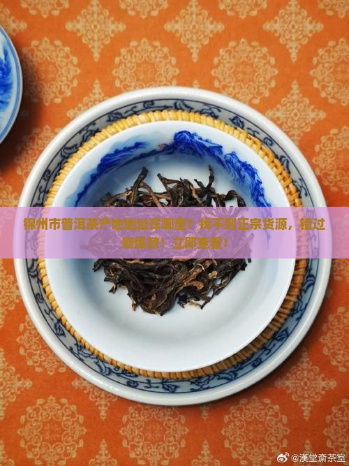 锦州市普洱茶产地地址