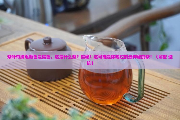 茶叶有绒毛颜色是褐色这是什么茶