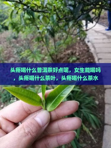 头疼喝什么普洱茶好点呢