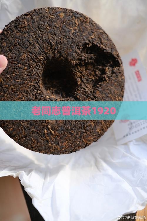 老同志普洱茶1920