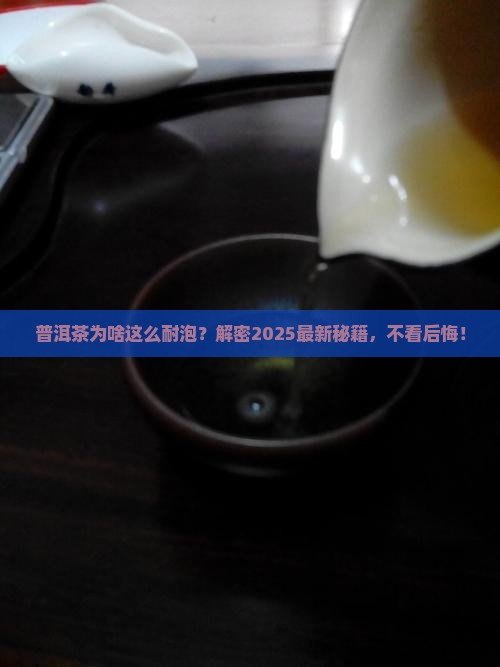 普洱茶耐泡度是谁决定的