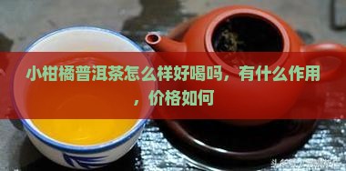 小柑橘普洱茶怎么样好喝吗