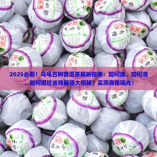 乌龟古树普洱茶