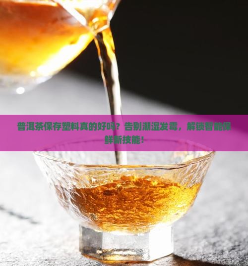 普洱茶保存塑料