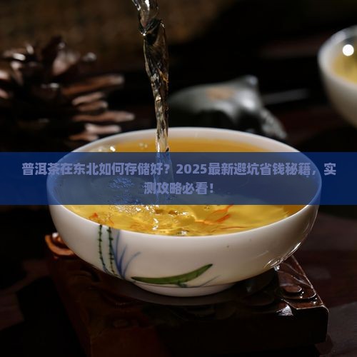 普洱茶在东北如何存储好